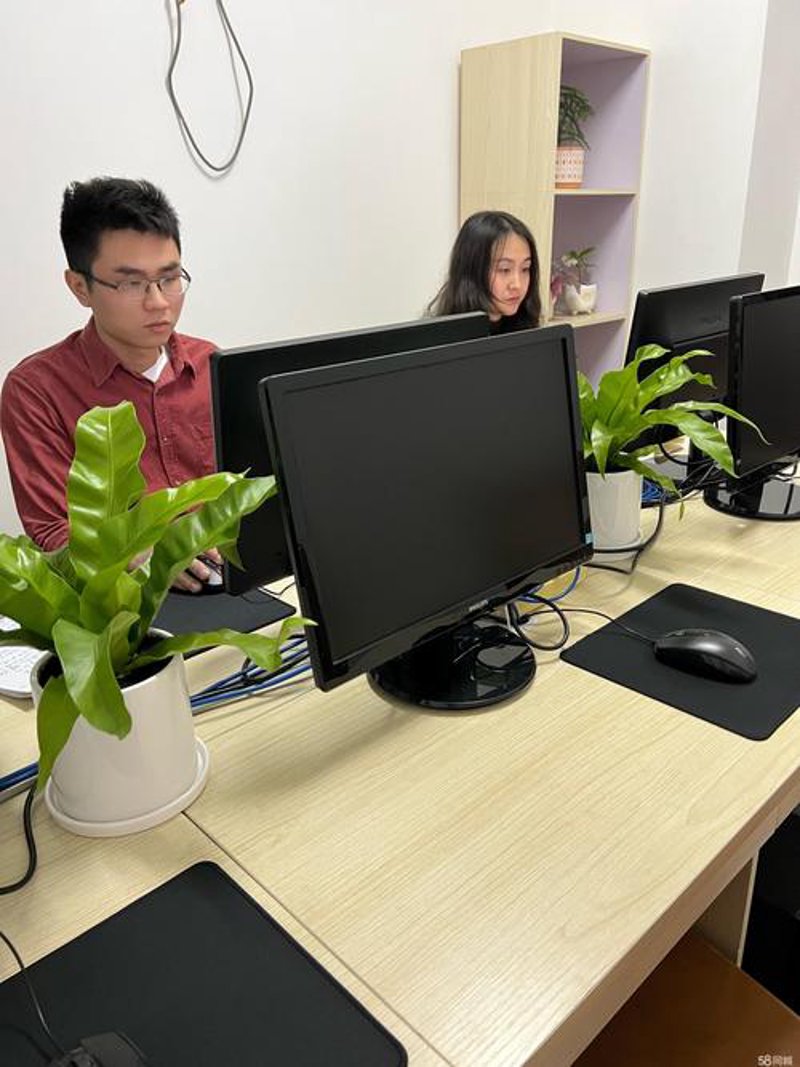 软件外包行业的新动向：聚焦海口市场