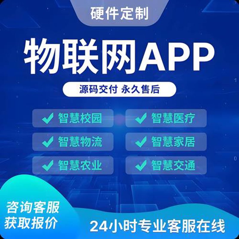海口软件外包：本地市场的潜力与挑战