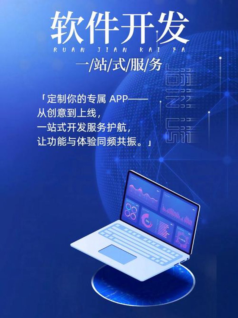 软件定制开发在现代企业中的应用